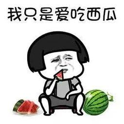 娱乐瓜都是在哪里吃的,明星们的“娱乐瓜”聚集地大揭秘